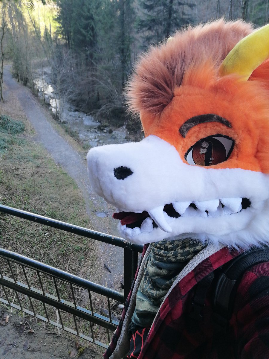 Dragon on a journey in Austria

For some reason, the other hikers looked at me askance