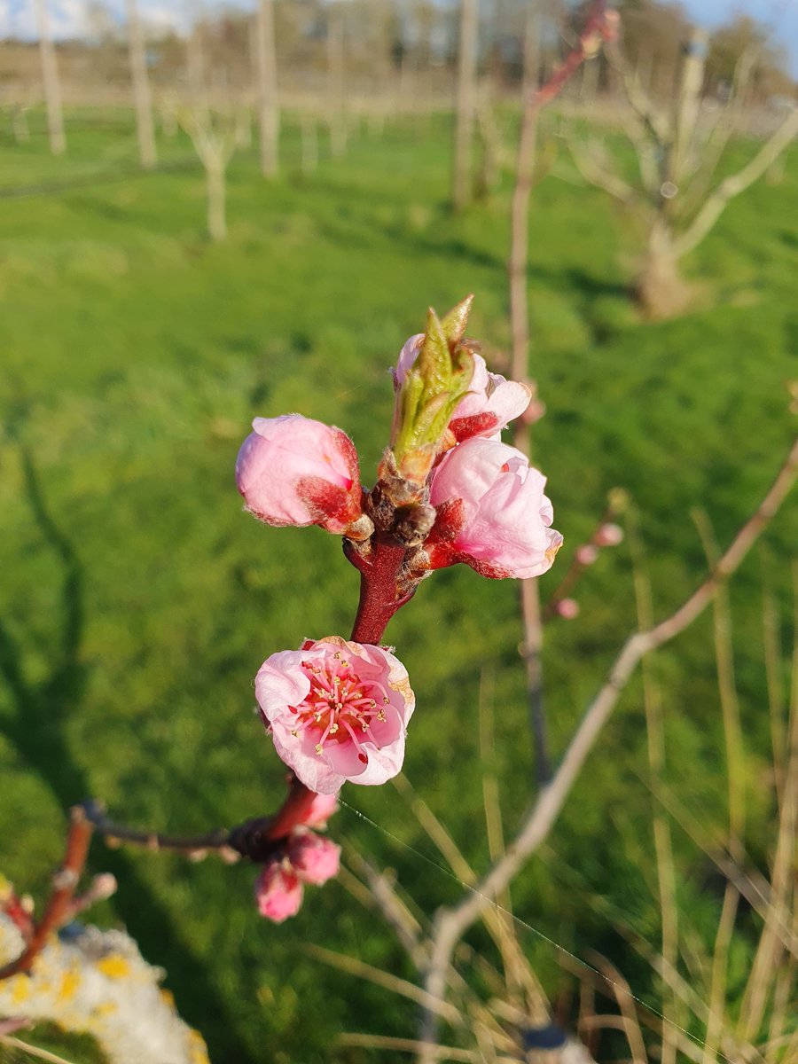 Paula Fleming tweet media