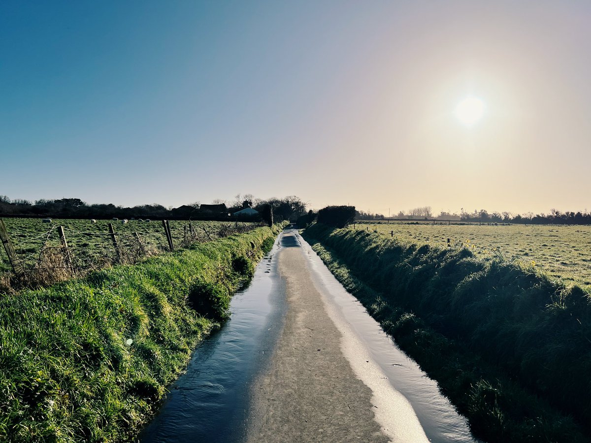 mark_stevo's tweet photo. Day 66 // Sun!! ☀️ what an amazing day we’ve had today - so nice and such a change to what we’ve been used too. I even got out for a run and took this along the way. 

iPhone  

#project366 #project365 #project365_2024 #project366_2024 #iphoneography #iphone https://t.co/yhegsVx73R