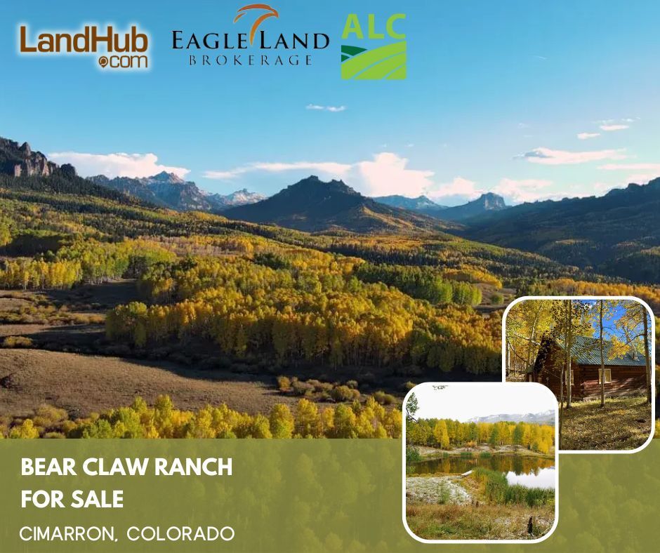 LandHub on X: Experience Tranquility and Adventure at Bear Claw Ranch:  Your Ideal Colorado Mountain Retreat! • 400± acre mountain property in  western Colorado • Year-round access • Two cabins for comfortable