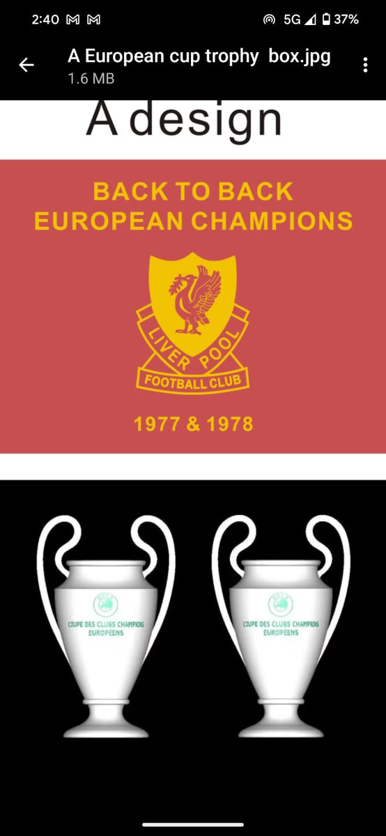 Liverpoolbadges's tweet photo. Trophy collectors update.
Boxed League Cup will be available early April.
Boxed Gold Premier League and Boxed Arsenal collection will be available same time for the Arsenal lads/lasses.
This "back to back" will be available  later. Inexpensive due to no "mould" costs incurred. https://t.co/p0oXEg0jii