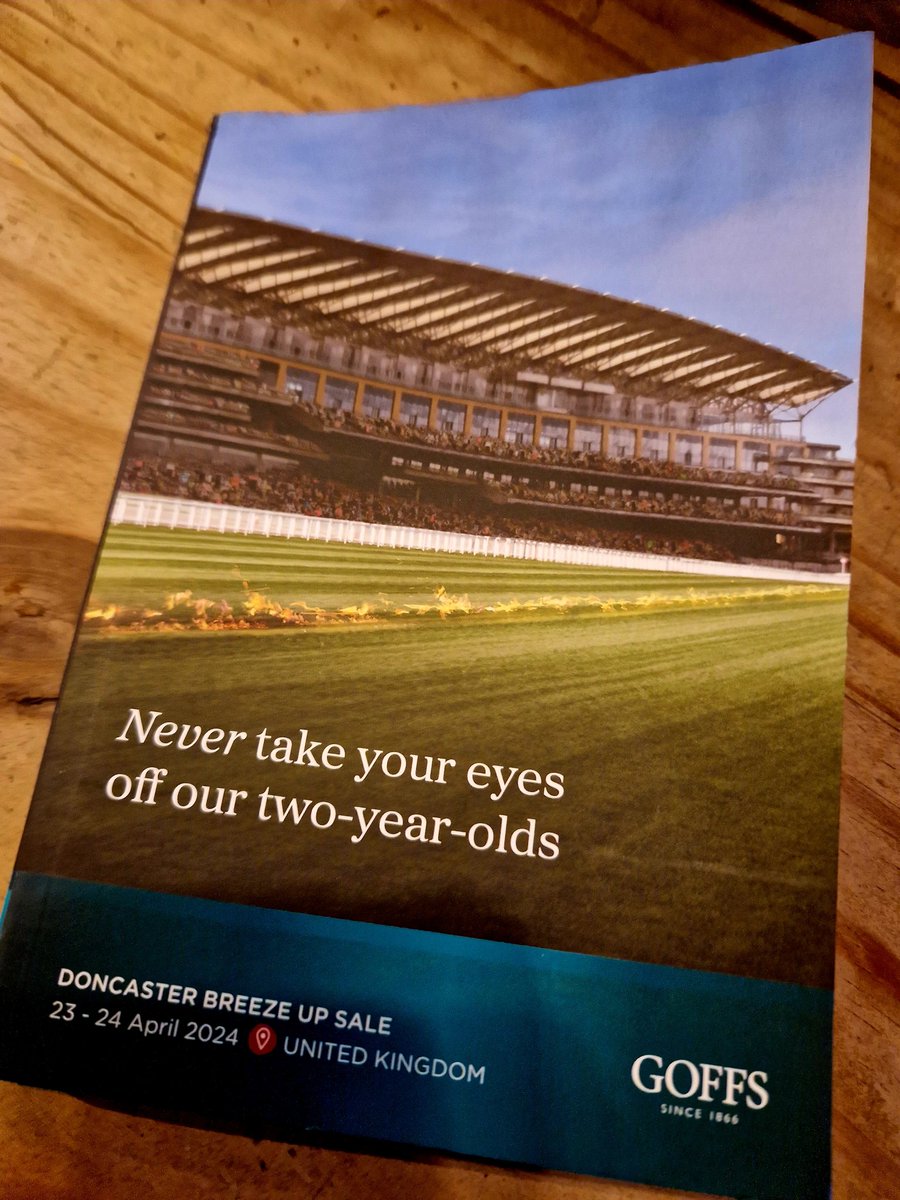 donna_cowens's tweet photo. We're getting closer...we will be consigning three horses. Lot 32 River Boyne @TaraStud . Lot 150 Bungle in the Jungle @RathaskerStud &amp; lot 186 Mehmas @HoStud https://t.co/g1BzgaQ2yr