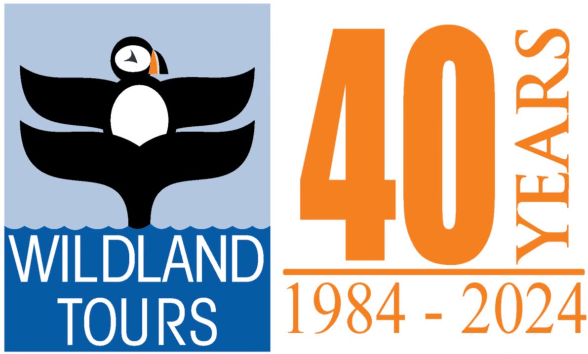 It's been a #WILD40YEARS. We invite you to check out 'About Wildland Tours' webpage. 

wildlands.com/about-wildland…

Since Dave's passion began on June 3, 1984, thousands of you from around the world have made Wildland's mission a reality! THANK YOU!!