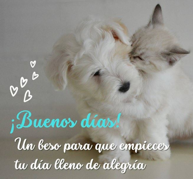 Magaly Armas tweet media