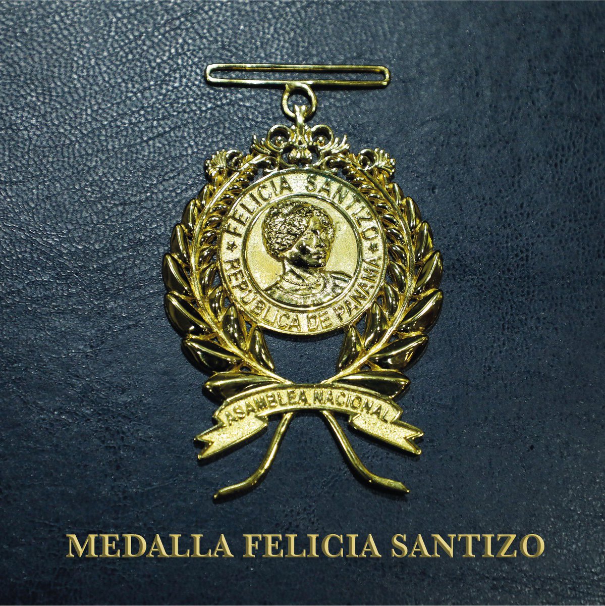 Con el propósito de reconocer la labor de ilustres ciudadanos panameños, en el campo de la cultura, el deporte, la política y las artes, la Asamblea Nacional crea mediante resolución la Condecoración Medalla Felicia Santizo, a su nombre.