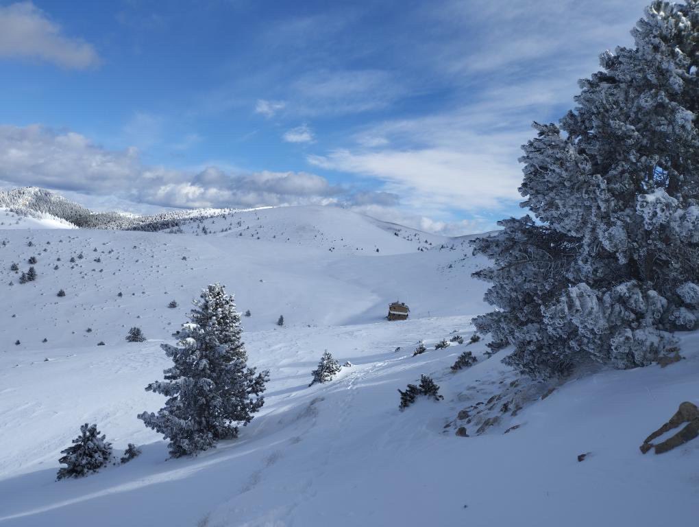 👉 Sembla mentida, però divendres i dissabte ens pot tornar a visitar la pluja i la neu! 🤩

❄️ Encara s'ha d'afinar el pronòstic, però ara mateix es veuen dues tongades de precipitació. Una divendres i una altra, més abundant, dissabte. Les zones més beneficiades serien el