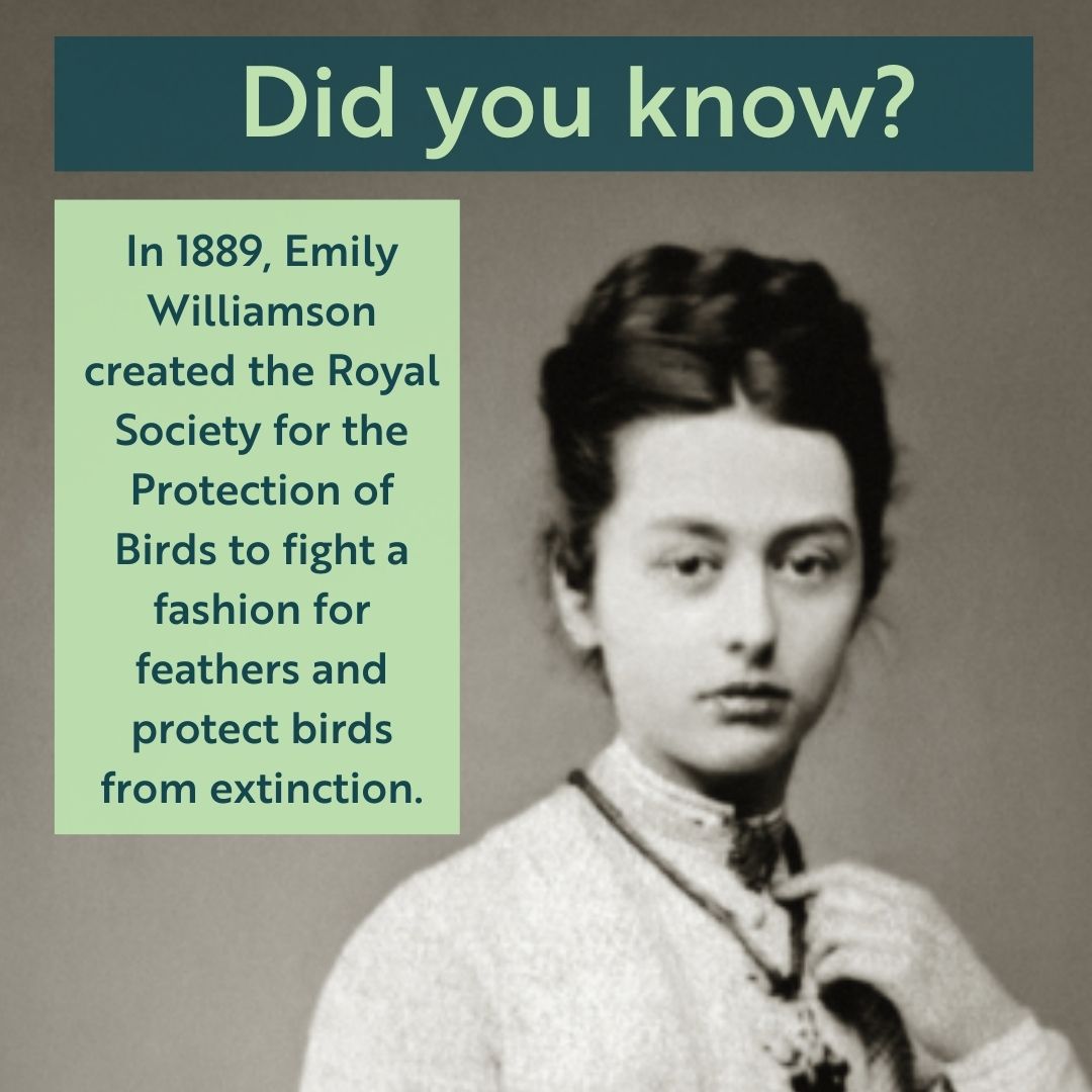 Emily Williamson's all-women movement was born out of frustration that the male-only British Ornithologists Union was not acting on the issue. This International Women's Day, find out more about Emily and RSPB's history here: rspb.org.uk/about-us/our-h… #IWD2024 #InspireInclusion