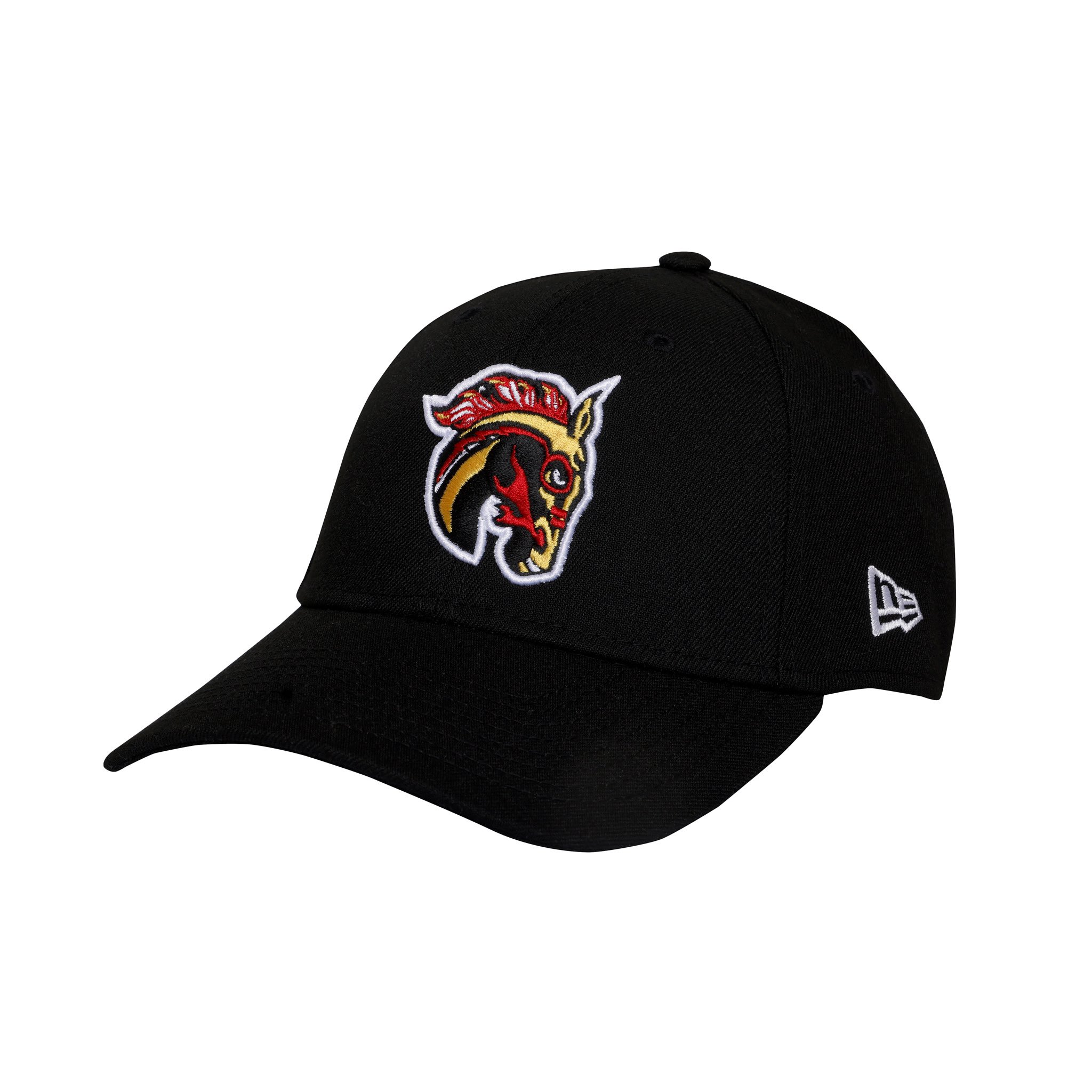 CGY Team Store CGYTeamStore X