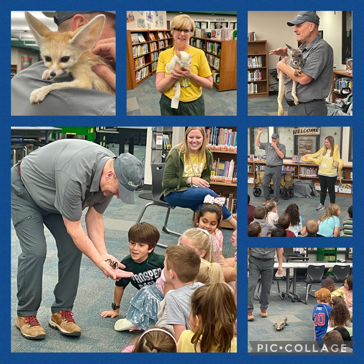 1st graders got a close-up experience with some amazing animals today! Than you, Mr. Kory, for sharing these fantastic creatures & teaching us how they are so well adapted to their habitats! We love the Creature Teacher! ⁦@PISD_Libraries⁩ ⁦@LightFarmsElem⁩