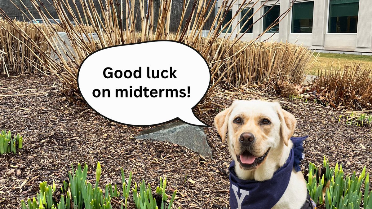The spring is coming, which means #springbreak is coming, but it also means that midterms are here now. Good luck everyone! #BoolaBoola