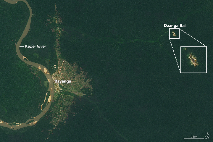 Desde el espacio, la NASA monitorea la Tierra.
Todo va bien, hasta que, de repente, en medio de la selva africana ven algo muy extraño.
¿Qué es ese claro, ese blanco en medio del verde?

La respuesta: uno de los lugares más fascinantes del planeta.