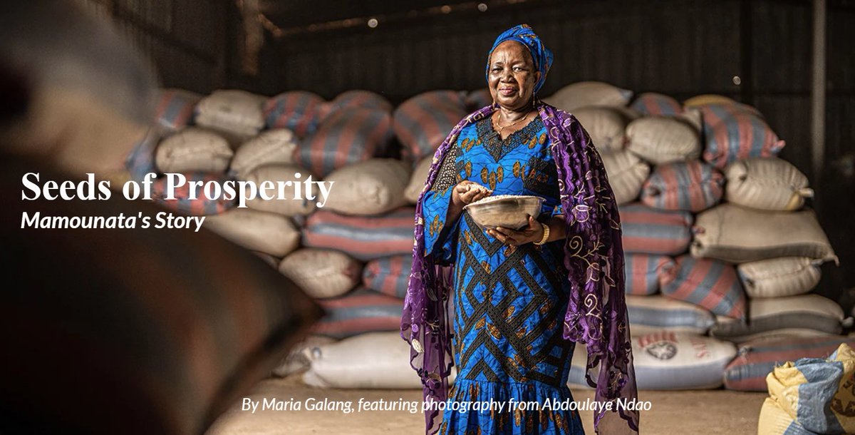 'I started with 300 West African CFA francs, and little by little, the business grew.' - Mamounata Velegda @IFC_org and Coris Bank support trade finance for women entrepreneurs like Mamounata in Burkina Faso. Read about it here: ifc.org/en/stories/202… #BankingOnWomen