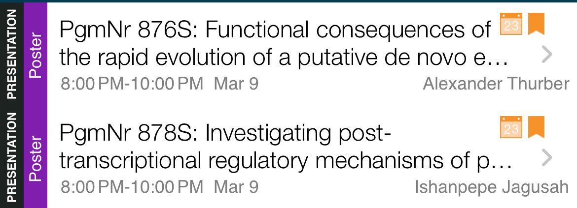 Five Findlay Lab undergraduates (and their PI) are on the way to #TAGC24, but you’ll have to wait til Saturday night for our posters (876 and 878).  We’re looking forward to sharing data on cross-species fertility rescue experiments and regulatory evolution of novel genes!