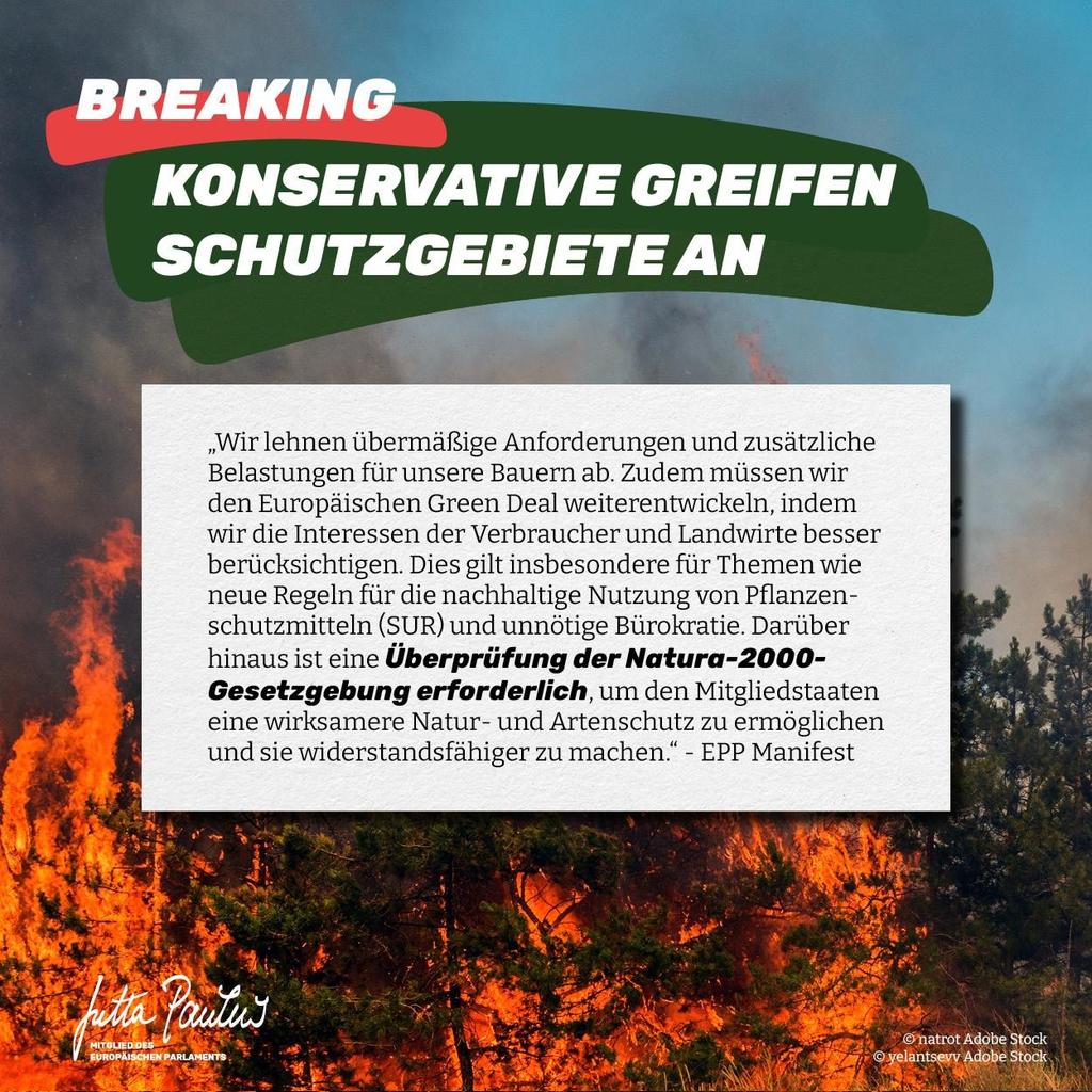 🔴 Breaking! Nach #EU Parlamentswahl droht Abwicklung #GreenDeal + Angriff auf die Natur! Europa. Volkspartei #EVP #EPP beschließt Programm + fordert Abbau Natura 2000 Schutzgebiete!