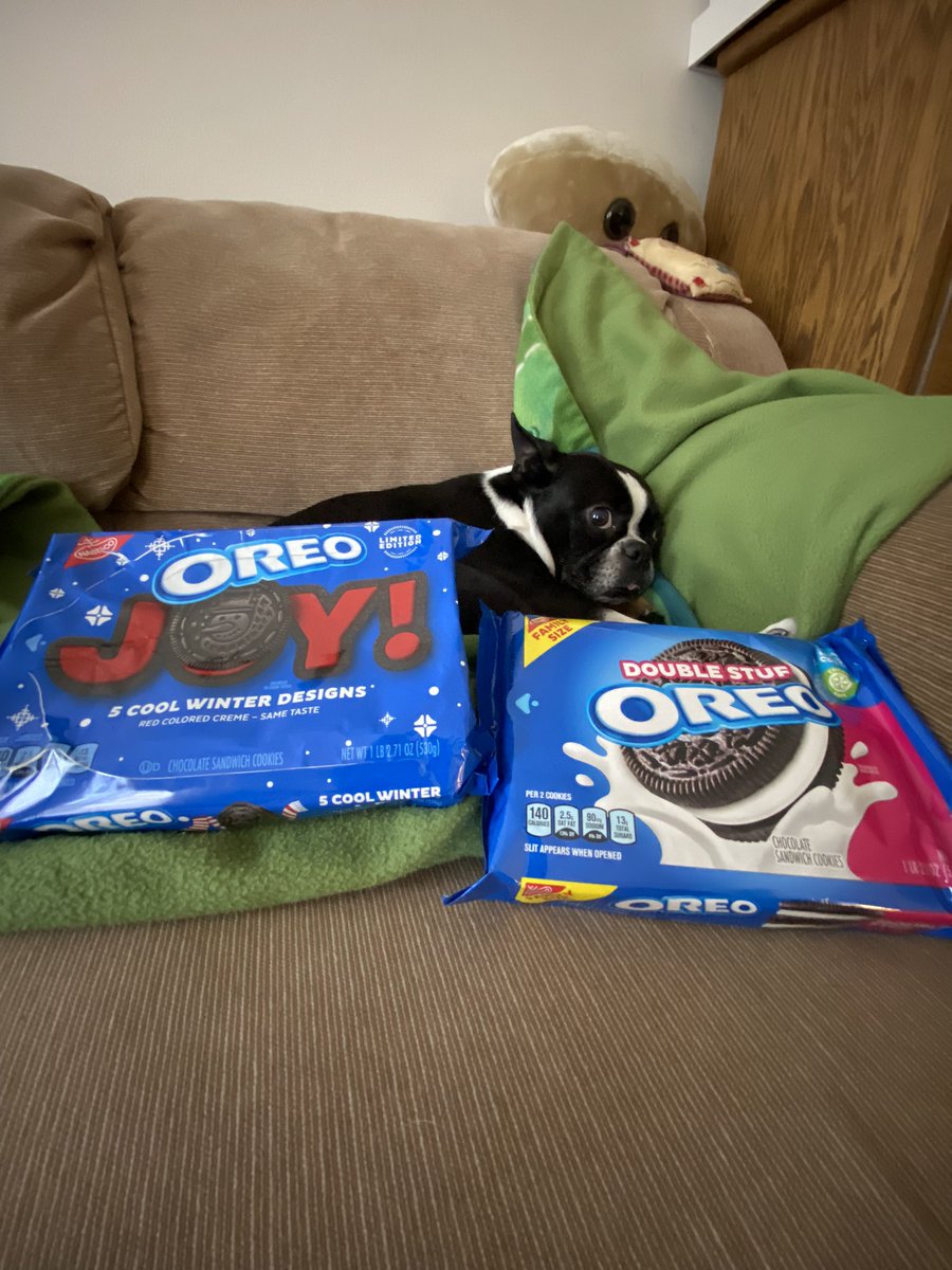 Me finks me is in a cookie coma! 🍪💤 Happy #WontLookWednesday and #NationalOreoDay frens!

**No #oreos were eaten by mees in da making of dis post..me gotted animal cookies instead!

#dogsoftwitter #dogsofx #bostonterrier @Oreo