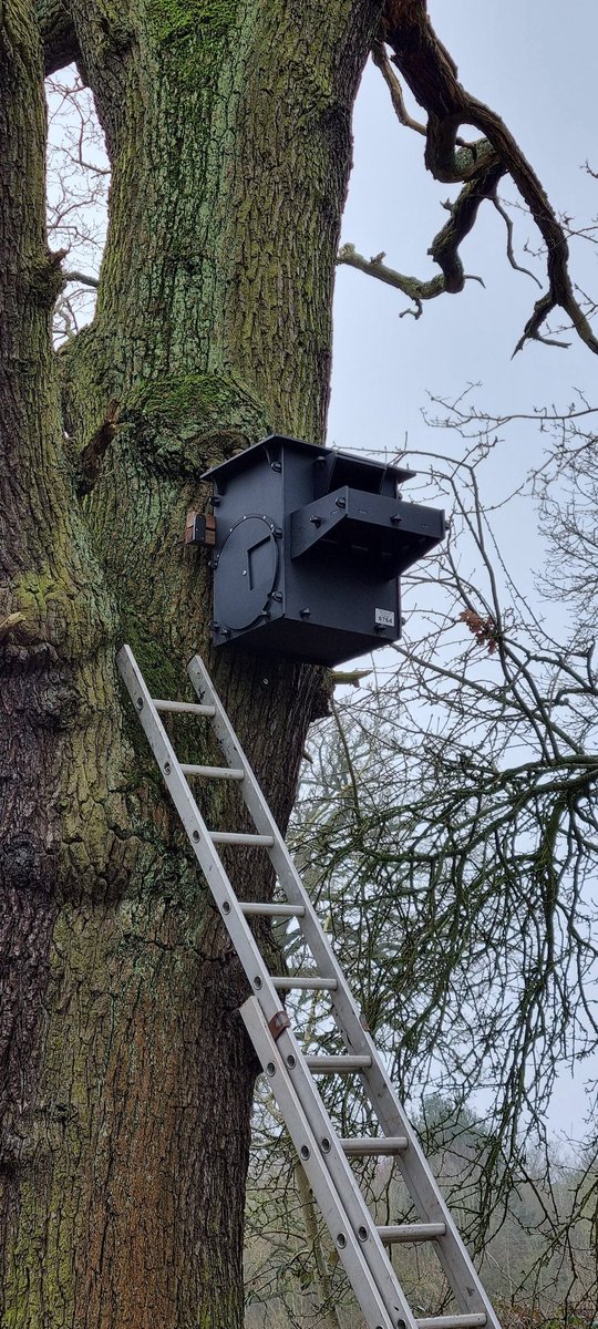 kevin whiston tweet media