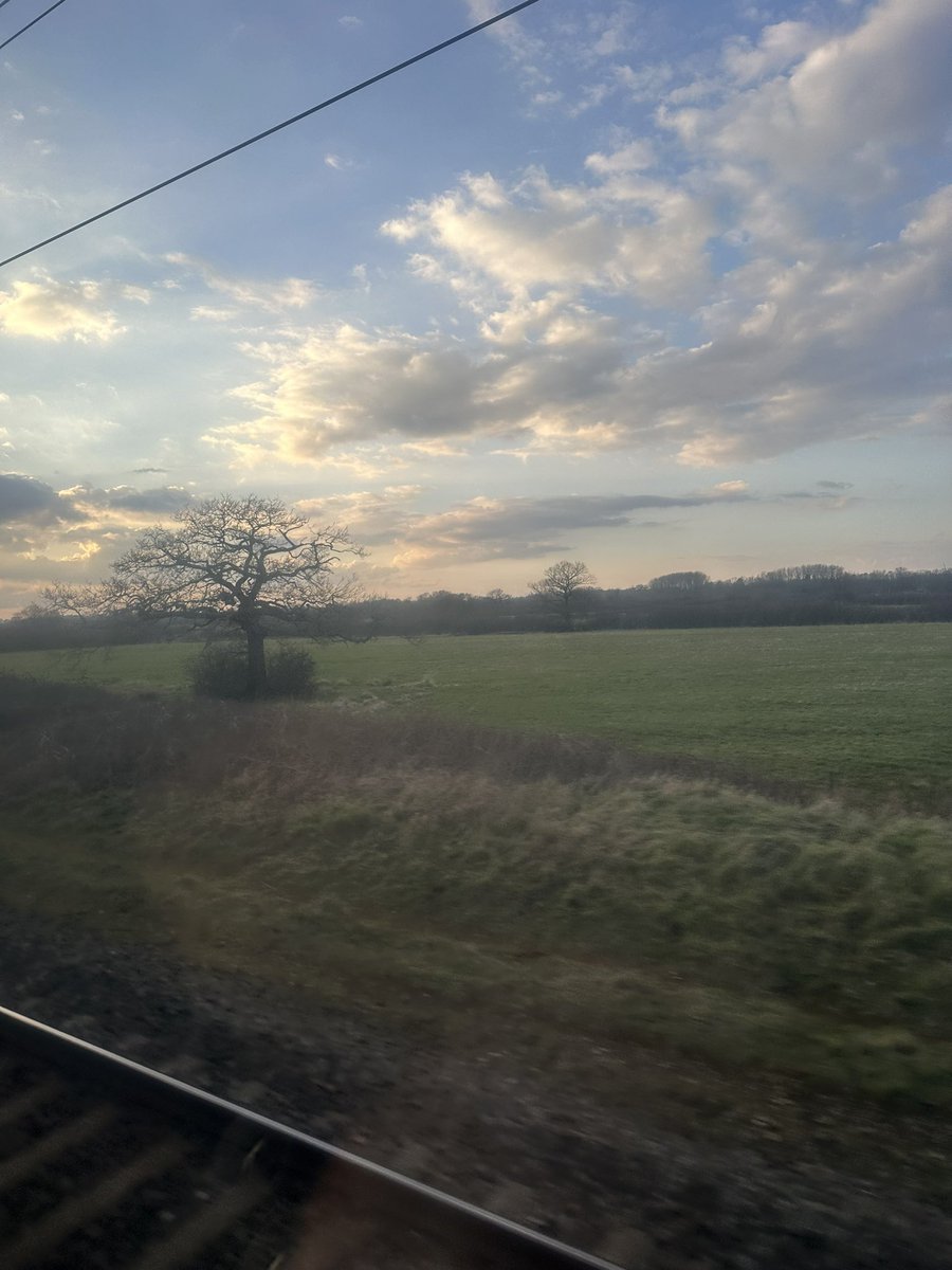 Double Brace tweet media