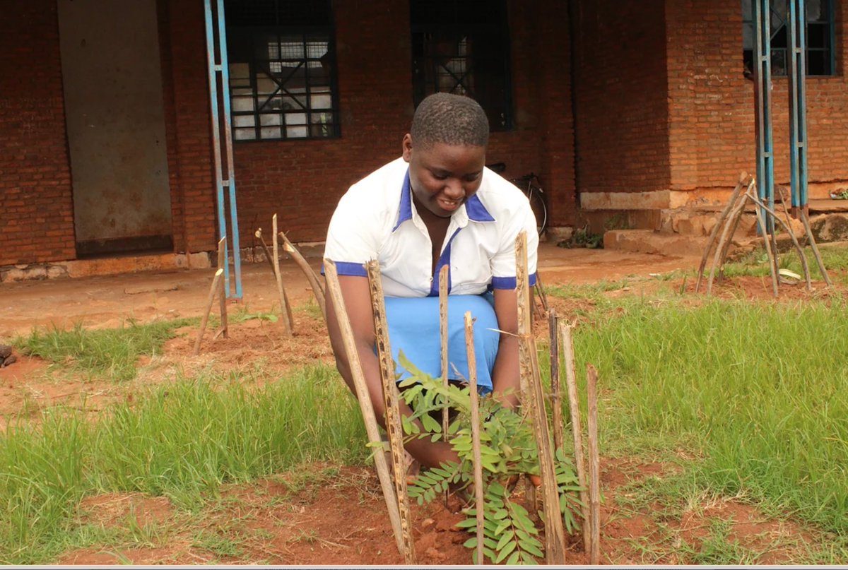 .@FAO #UnjustClimate Report highlights impacts of #ClimateChange on #education, exacerbating educational inequalities, esp for girls.

Learn how #ECW supports environmental clubs in🇧🇮, empowering students to take action+raise awareness on climate change!

educationcannotwait.org/news-stories/h…