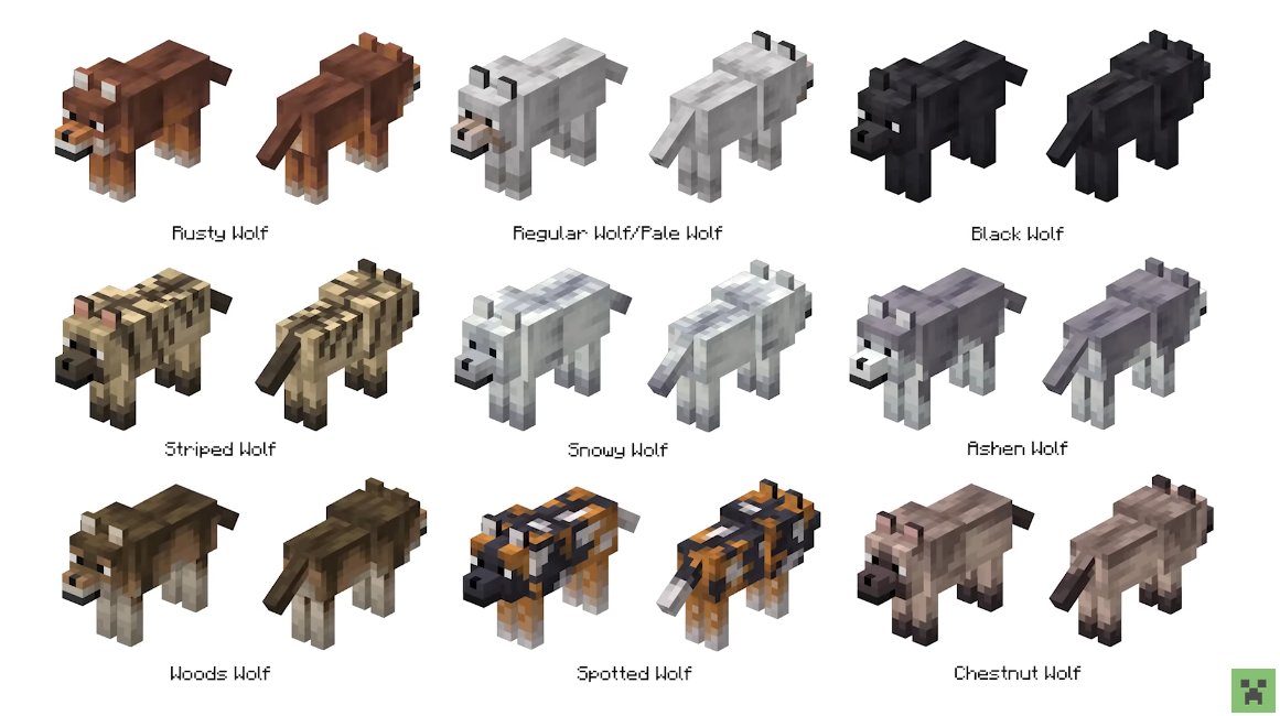 GUYSS THE NEW MINECRAFT DOG VARIANTS!!! which one if you favorite personally I'd do anything for the little chestnut guy and the woods wolf