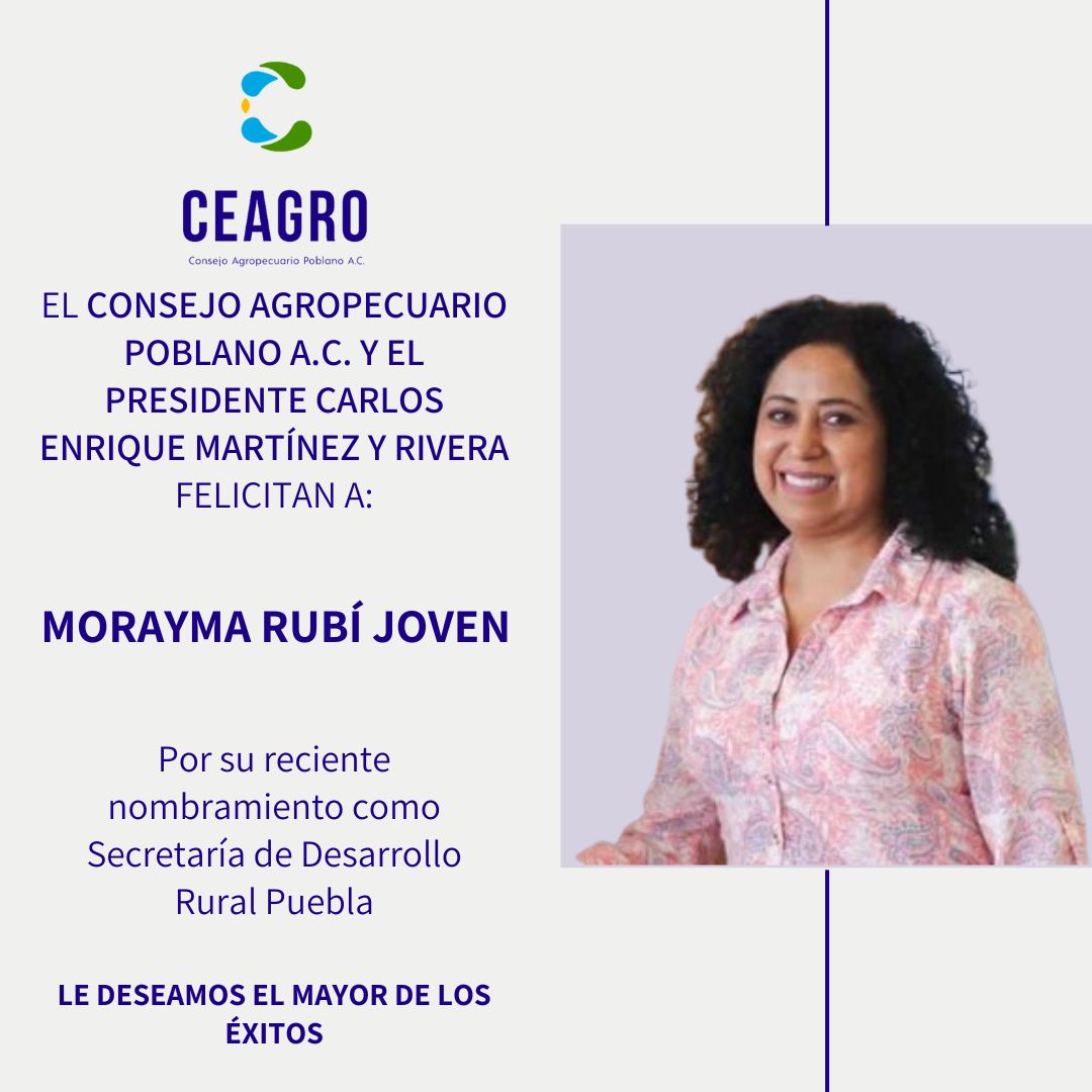 ¡El mayor de los éxitos en esta nueva etapa!