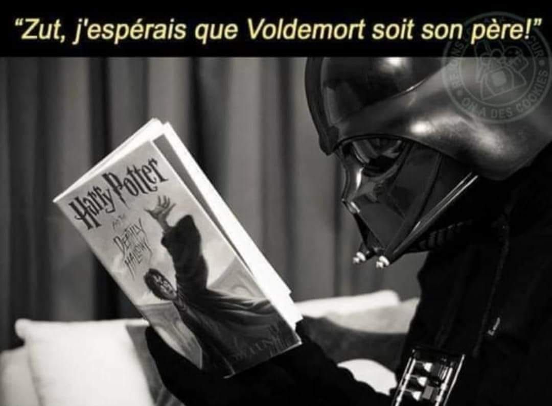 (Via Rejoins le côté obscur, on a des cookies)

#starwars #HarryPotter