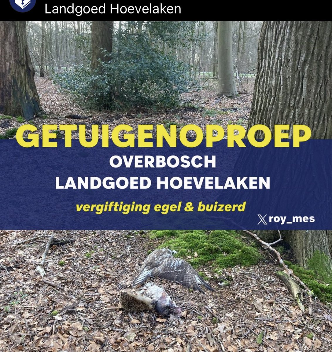 POL_Milieu_ON's tweet photo. Was jij recentelijk in de omgeving van #LandgoedHoevelaken (foto3) en heb je iets gezien? #Melden kan op info@glk.nl of bel 0900-8844, anoniem op 0800-7000 of 026-3552555 van Geldersch Landschap &amp; Kasteelen🙏 Dankjewel!  #vergiftiging 🦅+🦔
@roy_mes https://t.co/yDcriE8GLI