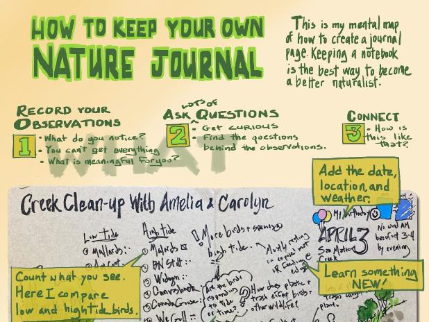 BayNature's tweet photo. Naturalist’s Notebook: How to Keep Your Own #NatureJournal
https://t.co/nsvLM01Bhh
📸+🖋️ John Muir Laws
#naturalistsnotebook #naturejournaling #naturejournal #wildlifeillustration #baynature #johnmuirlaws #birdart #wildlifeart #naturalist #naturalisttraining https://t.co/O4whHrg2Qf