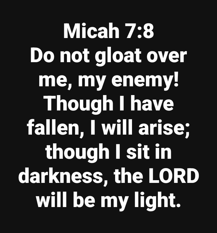 🕊️🕊️🕊️