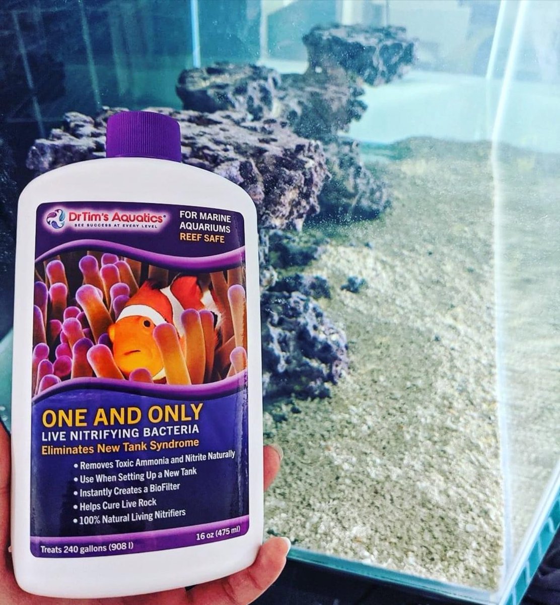 drtimsaquatics's tweet photo. What was the size of the last tank you cycled?

Photo: ranga.reefer 

#oneandonly #nitrifyingbacteria #drtimsaquatics https://t.co/zEdwBY4pAv