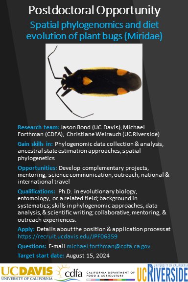 Call for #postdoc applicants!

Join us to work on spatial #phylogenomics & diet #evolution of diverse plant bugs! #phylogenetics #entomology #postdocjobs #academicjobs

Materials due April 29, 2024 for full consideration. See flyer for more details.

Plz RT