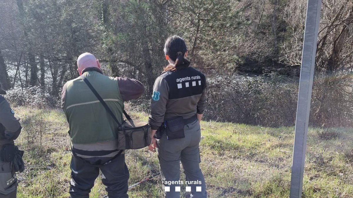 agentsruralscat's tweet photo. 🎣Publicada la normativa en matèria de pesca en aigües continentals per la temporada 2024👇 
https://t.co/8USQSyDMhD 

⚠️ Hi ha novetats importants!👇
https://t.co/6pEbAt0vlr

🔎 Consulta sempre la normativa abans de sortir a pescar. https://t.co/2aZdbLdMY0