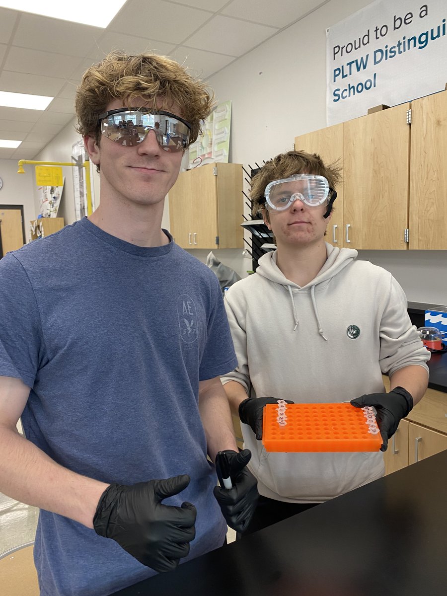 C_Matusevich's tweet photo. Coliform testing, gel pouring, and model making - it's been a busy week for @PLTWorg #biomedicalinnovations students 🧪🧬🦠 @chccs @NcacteE https://t.co/v6KEqDDmOl