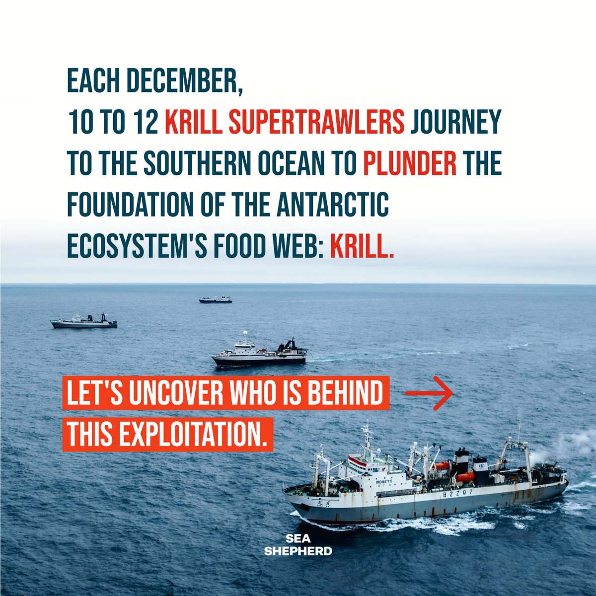 seashepherd tweet picture