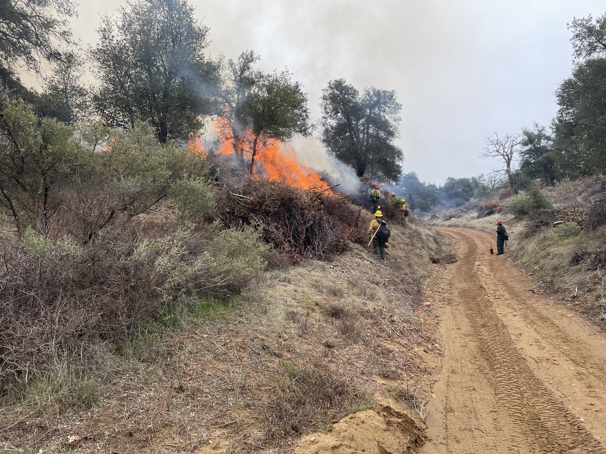 3/6/24 Descanso Ranger District fuel crews are burning piles off Deer Park/Pine Creek Roads. Residents & visitors may see smoke from the 79, the I-8, Pine Valley, and surrounding communities. Please DO NOT REPORT. For info: tinyurl.com/CNFInciWeb