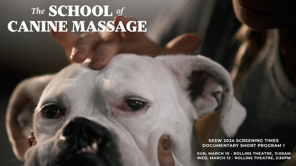 Not Impossible Productions tweet media