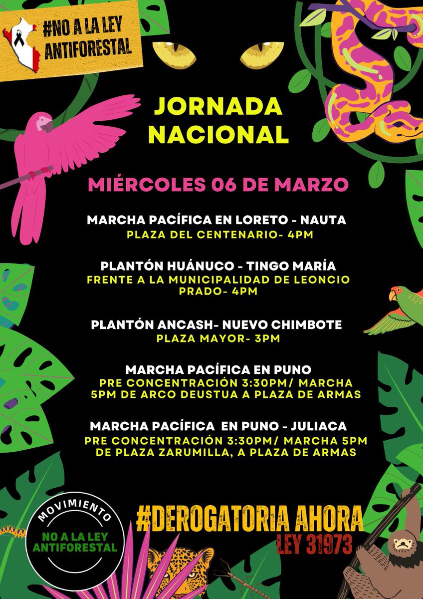 jurrunaga's tweet image. Sigue creciendo el rechazo en contra de la #LeyAntiforestal. Ya son 22 ciudades del Perú las que se suman hoy al plantón, exigiendo #DerogatoriaAhora
#SinBosquesNoHayFuturo 
Hoy miércoles 6 de marzo