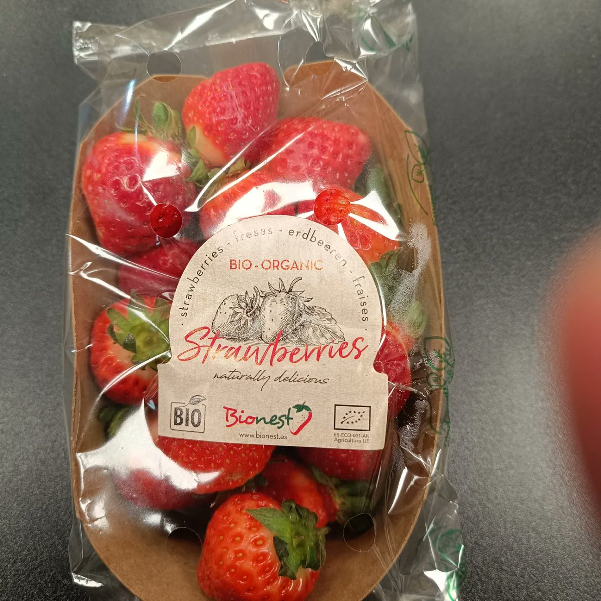 Gaia_ElBerron's tweet photo. Tenemos disponible esta tarrina de fresas,las etiquetas son claras, origen España, ecológicas (sin pesticidas ni tóxicos de ningún tipo)...
#gaia #elberron #siero #asturias #ecologico #artesano #vegano #regalos #detalles #encargos #mascotas #fresas #fresaecologica https://t.co/SqXaxwOIZl