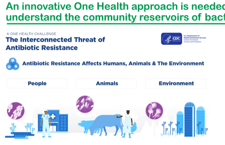 PIDSociety's tweet photo. Dr. Logan advocated a One Health approach to meet an interconnected threat: antibiotic resistance. #StJudePIDS2024 https://t.co/3K98bzoR35