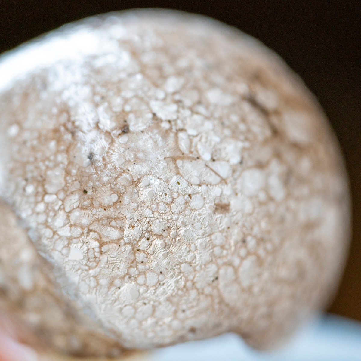 Dive into the briny embrace of the sea. 💎
Each crystalline sprinkle enhances the richness of every dish, creating a subtle symphony of salinity. Ponder the timeless significance of salt, igniting a newfound appreciation for the elemental wonders of gastronomy.