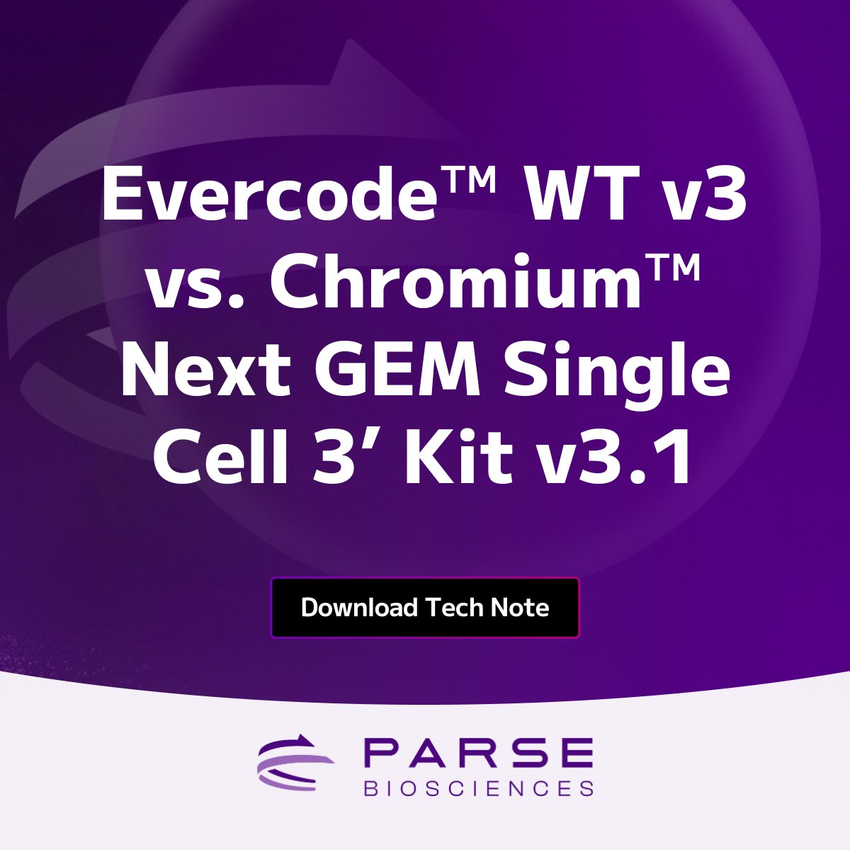 See how the new Evercode WT v3 stacks up against Chromium Next GEM Single Cell 3’ Kit v3.1 in mouse lymph node nuclei. Our latest tech note presents a head to head comparison of the two technologies. See the data ➡️ parse.bio/4a4QdjP #singlecell #research #technote