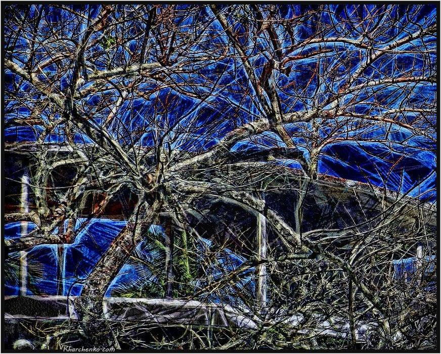KharchenkoArt's tweet photo. Cold day.
#art #kharchenko #nft #nfts #nftart #nftarts #nftcollector #nftartwork #nftinvestor #nftcommunity #nftartists #nftdrop #nftdrops #opensea #nftgiveaway #artwork #tree #trees #Cold #day https://t.co/HyiXstrnLL