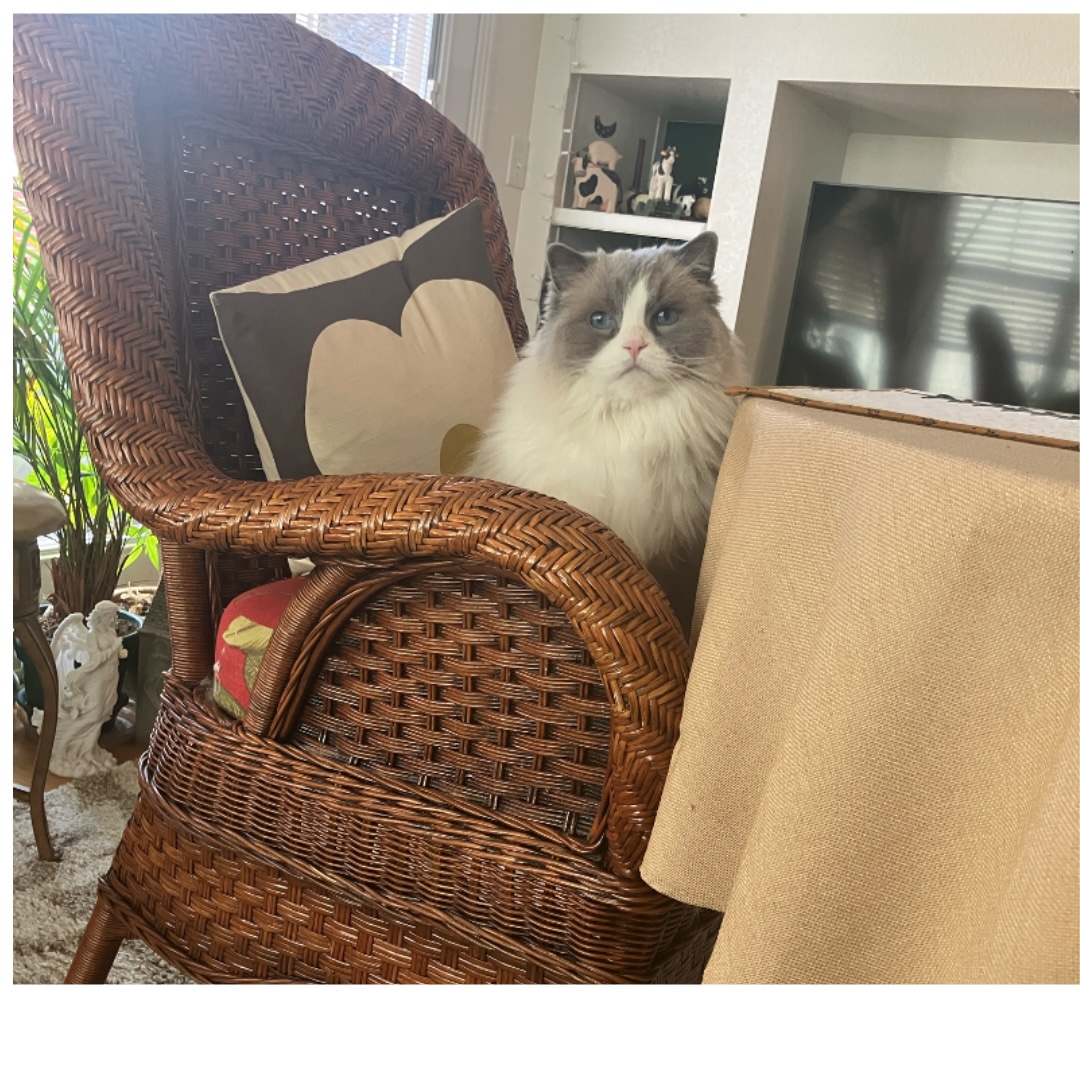 Waiting for guest to join her