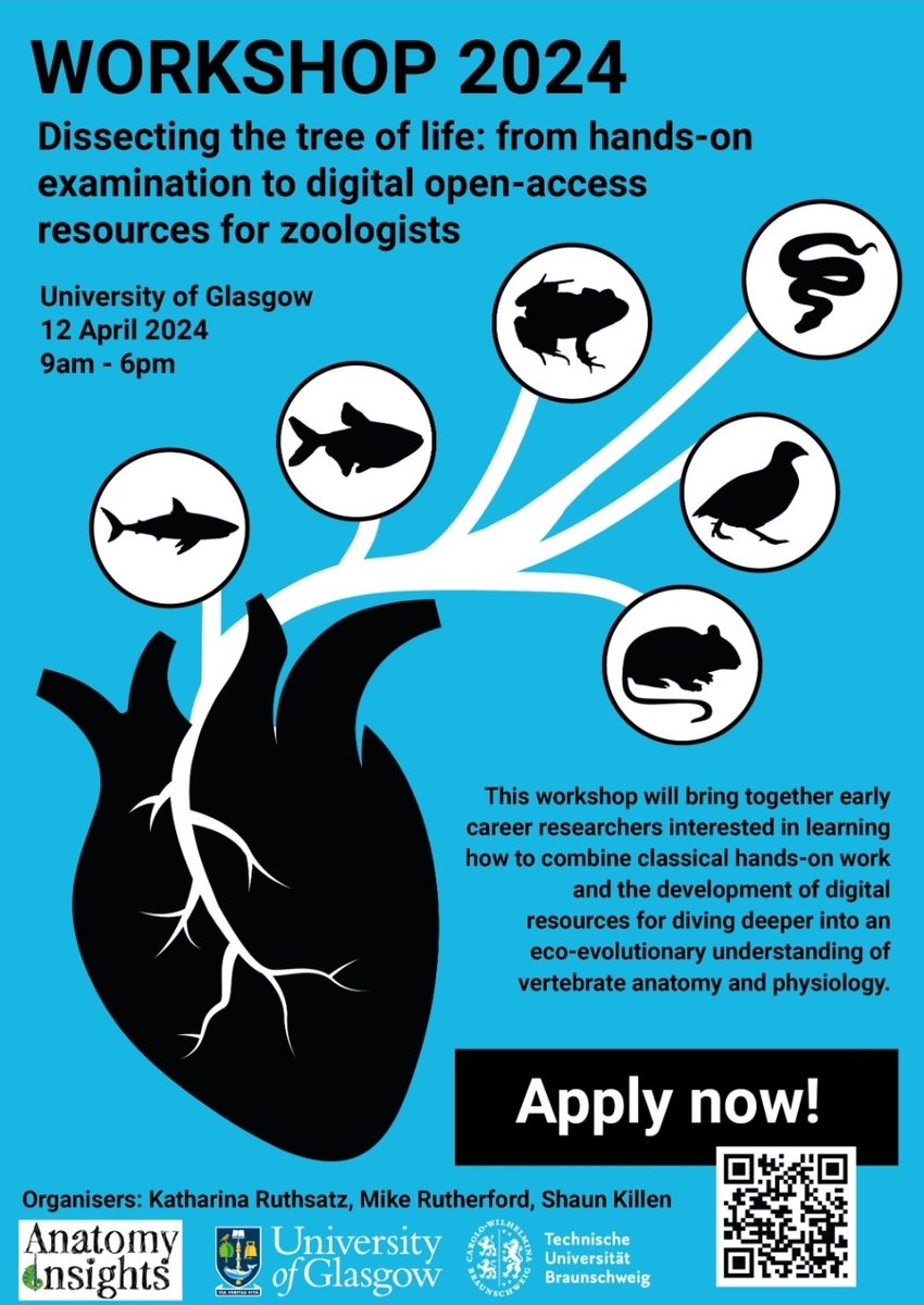 Thrilled to announce that applications are open for this year's workshop on vertebrate anatomy and ecophysiology! Workshop in Glasgow on April 12. Scan the QR code for more info! @shaunkillen @AnatomyInsights @UofGlasgow