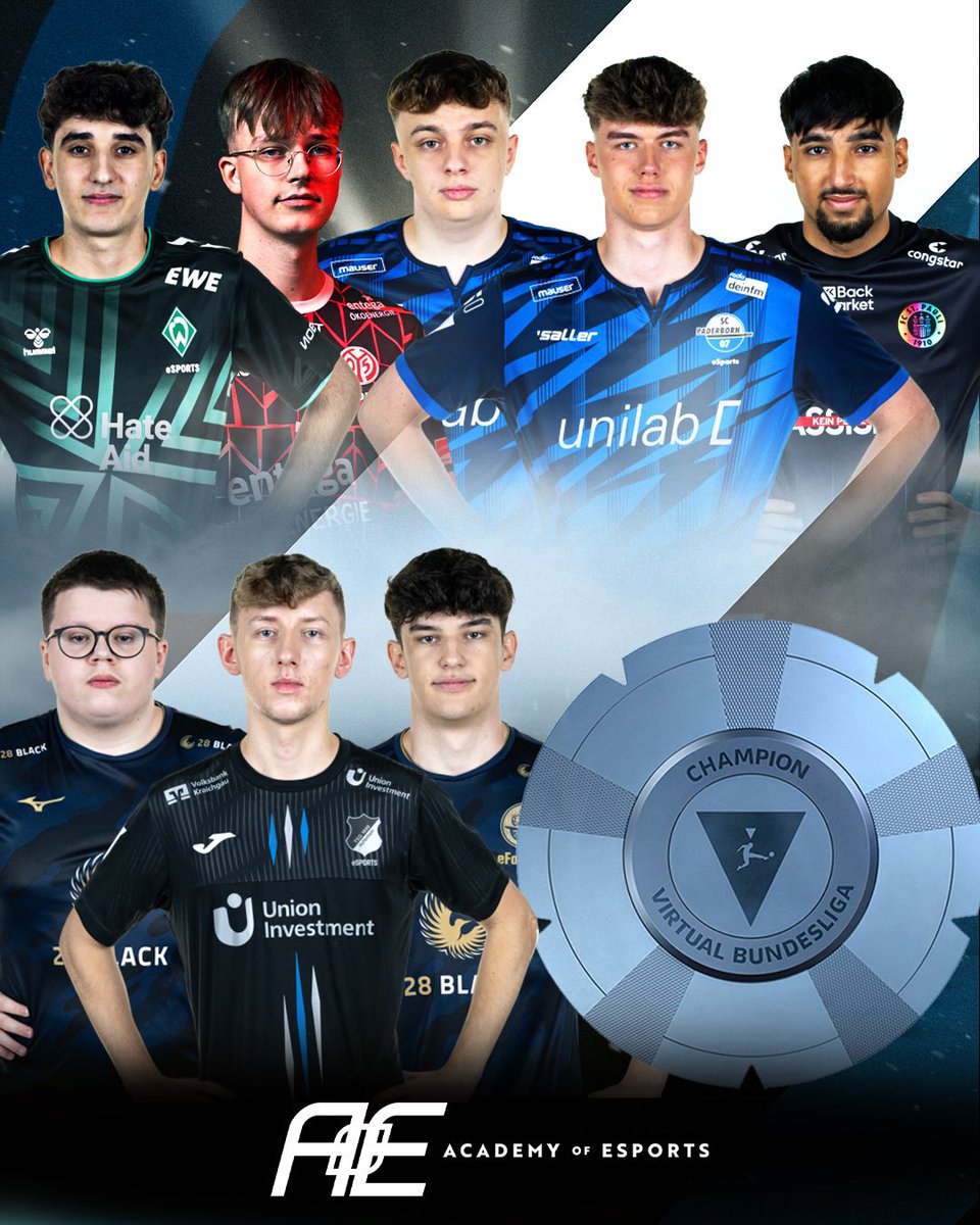 Academy of eSports tweet media