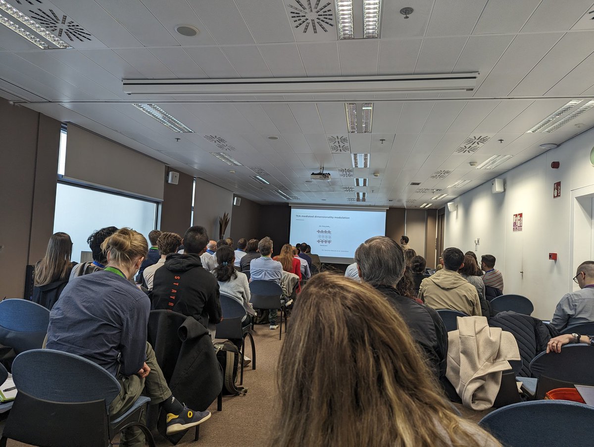 Michael Saliba tweet media