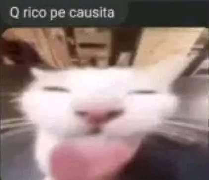 Kristg666's tweet photo. @ChepinahVT Como me voy a olvidar de mi chepinahGod https://t.co/EUbZh7Hqo0