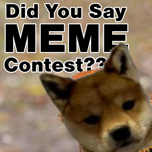 !!MEME CONTEST!!

As announced in our telegram t.me/dogwifouthatco…, we are hosting a meme contest, ending in 22hrs (18:00 UTC, 6th March). 100 000 $wifout to the winner! Be sure to participate, the one with the most likes in our discord wins!