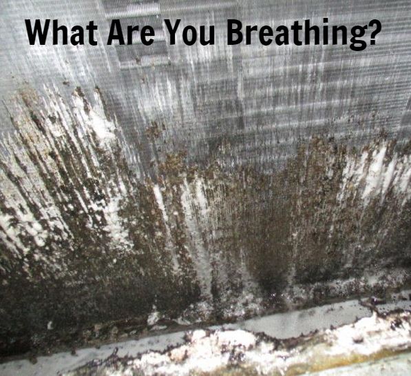 callcmc's tweet photo. Dirty equipment can increase disease in your building, increasing absenteeism and turnover.
https://t.co/s6R3zTE5rN
#healthyair #comfort #hvacservices #cleanair https://t.co/aWZiBfVrda
