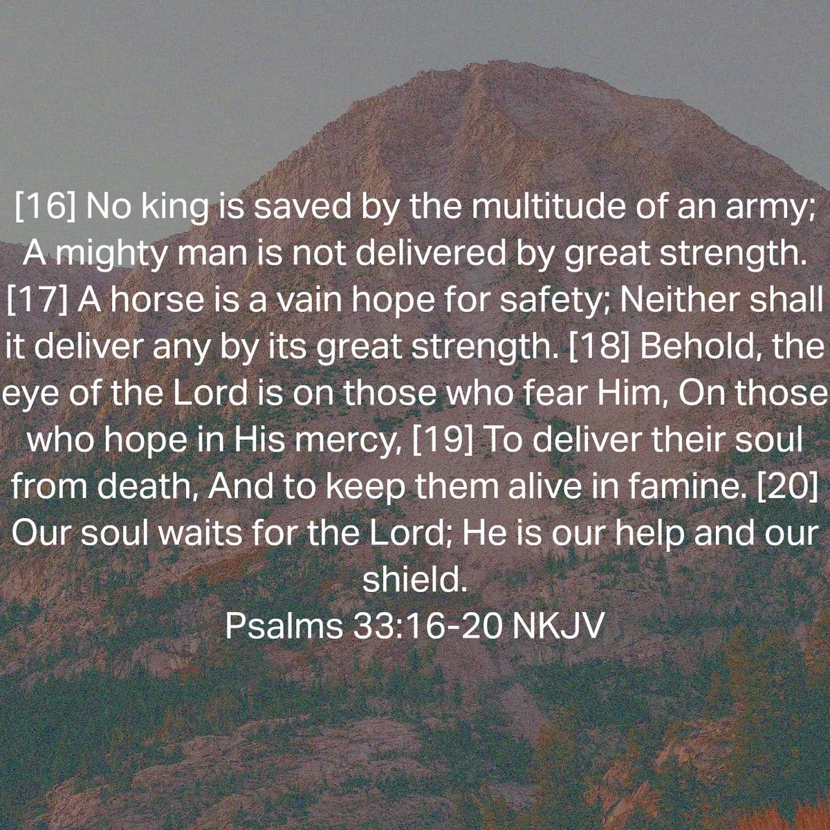 adkalliance's tweet photo. Don't trust in politics. Trust in the Lord! https://t.co/m7IFjaQqLs