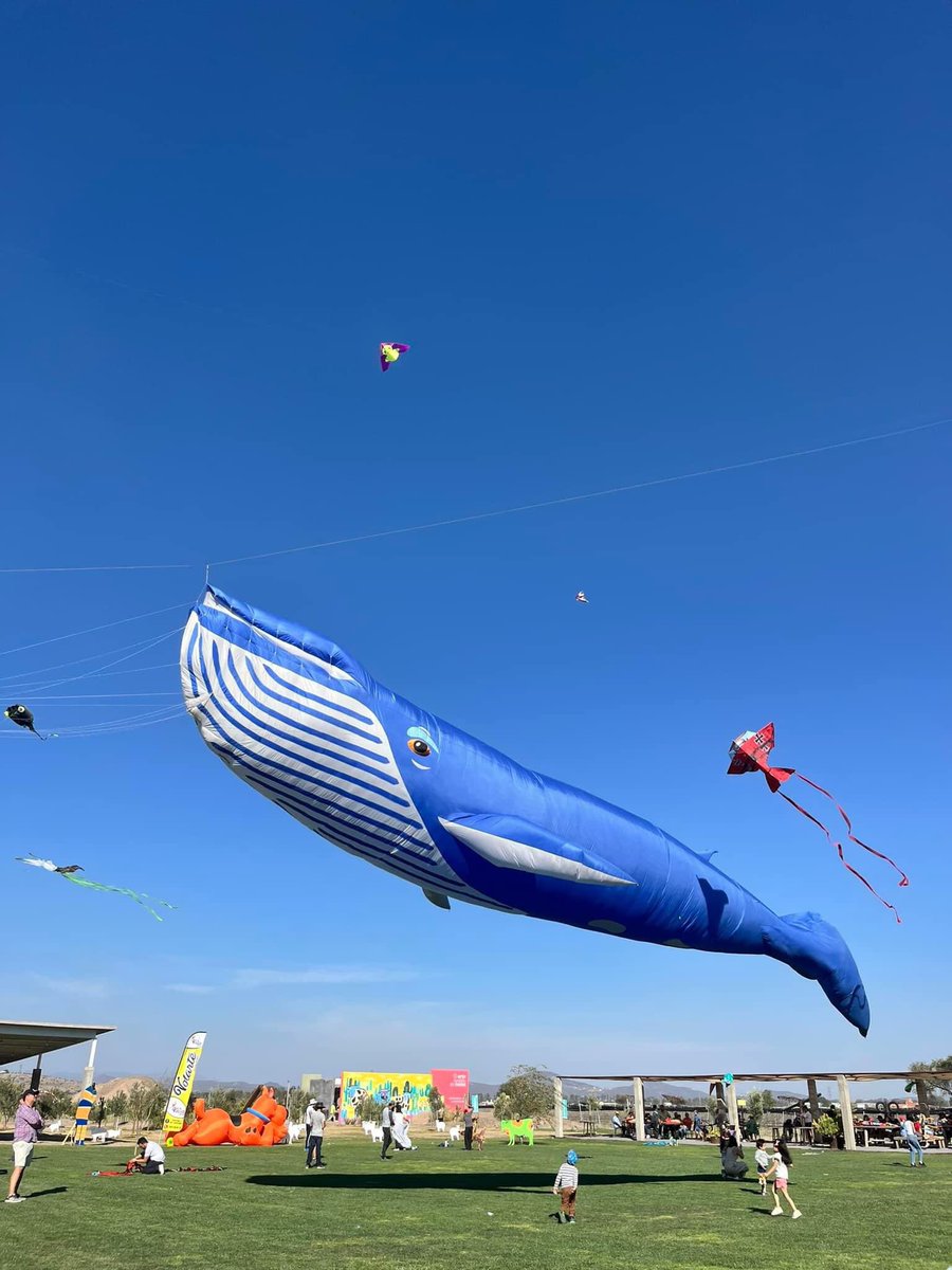 asomarte's tweet image. Disfruta de la #Fiesta de los Papalotes donde podrás admirar la exhibición de #papalotes gigantes este próximo 9 y 10 de marzo en Cava Bocanegra en 📍#Tequisquiapan, Qro. 

AsomarteTequisquiapan.travelCava bocanegraquerétaro.Travel